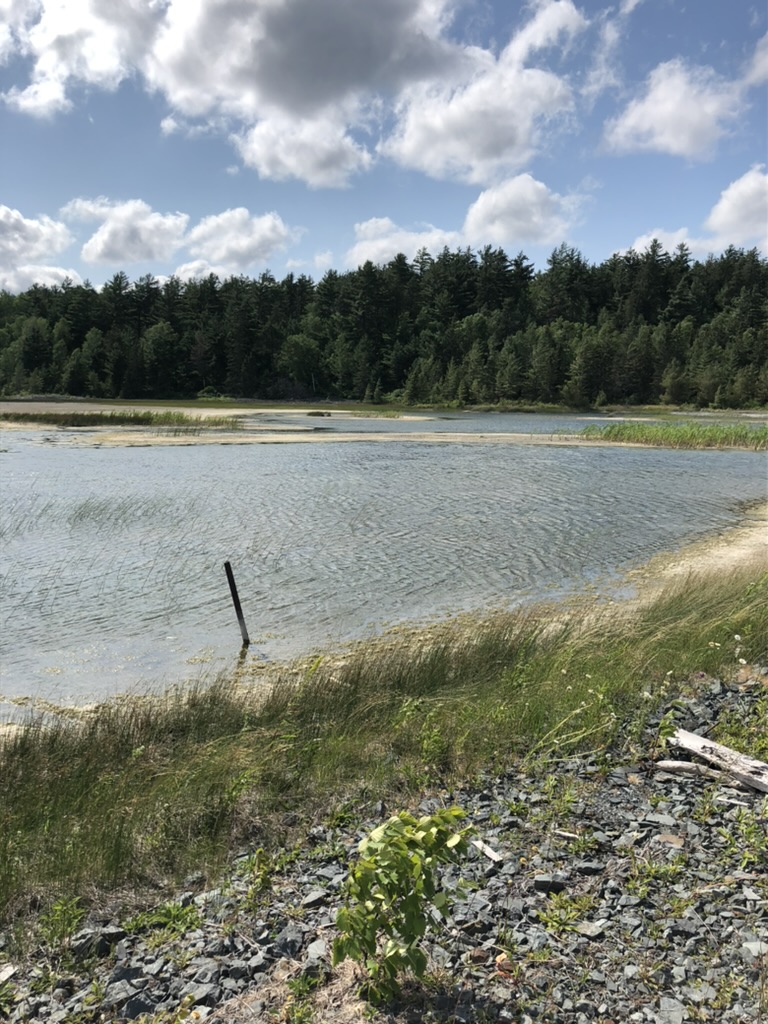 November accountability post!